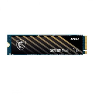 MSI Spatium M450 1 TB (SPATIUM M450 PCIe 4.0 NVMe M.2)